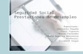 Seguridad Social Prestaciones de desempleo Expositoras: Alejandra Pequeño Carol Figueroa Roxana Fernandez Maria Angelica Barrientos Profesora: Elizabeth.