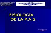 FISIOLOGÍA DE LA P.A.S. Universidad Rómulo Gallegos Area Ciencias de la Salud Programa Medicina Dpto Ciencias Funcionales Cátedra Fisiopatologia Dr. Rafael.