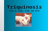 Triquinosis CIE-9 124; CIE-10 B75. Descripción Enfermedad causada por un verme intestinal redondo cuyas larvas (triquinas) emigran a los músculos y quedan.