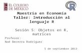 Maestría en Economía Taller: Introducción al lenguaje R Sesión 5: Objetos en R, matrices Profesor: Noé Becerra Rodríguez 5 de septiembre 2013.