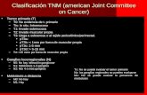 7 Clasificación TNM (american Joint Committee on Cancer) Tumor primario (T)Tumor primario (T) –T0: No evidencia de t. primario –Tis: In situ. Intramucoso.