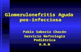 Glomerulonefritis Aguda pos-infecciosa Pablo Saborío Chacón Servicio Nefrología Pediátrica H.N.N.