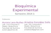 Bioquímica Experimental Semestre 2014-1 Profesoras: Aurora Lara Nuñez Lab. 114 Conjunto E Depto. Bioquímica Facultad de Química aulanu@yahoo.de Ariadna.