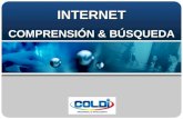 INTERNET COMPRENSIÓN & BÚSQUEDA. ¿Qué es Internet? Servicios de Internet Dominios de Internet Direcciones URL ¿Para qué sirve Internet? Búsqueda de información.