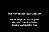 Histoplasma capsulatum Daniel Alejandro Silva Aguilar Marcela Torres Carrizales Jessica Mariela Ulloa Ruiz.