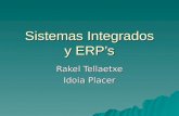 Sistemas Integrados y ERPs Rakel Tellaetxe Idoia Placer
