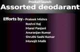 Product launch ppt