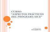 CURSO: A SPECTOS PRÁCTICOS DEL PROGRAMA SICE José Manuel de Frutos 22-23 noviembre 2011.