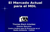El Mercado Actual para el MDL Thomas Black Arbeláez Director Ejecutivo Centro Andino para la Economía en el Medio Ambiente - CAEMA.