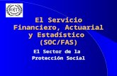 1 El Servicio Financiero, Actuarial y Estadístico (SOC/FAS) El Sector de la Protección Social.