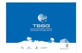 IET Talk: TSSG Model & Future Internet and IPv6