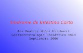 Síndrome de Intestino Corto Ana Beatriz Muñoz Urribarri Gastroenterología Pediátrica HNCH Septiembre 2006.