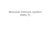 Immunology viii malt