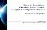 Raportul de activitate al Direcţiei Relaţii Externe a CSŞDT al AŞM pentru anul 2013: Rezultate şi Perspective