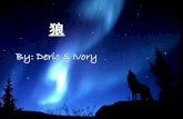 Chinese Wolf Presentation