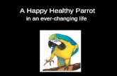 A Happy Healthy Parrot in an Ever-Changing Life