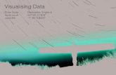 DIBI Conference: Visualising Data