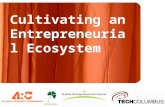 Cultivating an Entrepreneurial Ecosystem