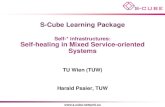 S-CUBE LP: Self-healing in Mixed Service-oriented Systems