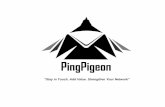 Ping Pigeon Yoshi