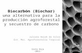 Biocarbón (Biochar) una alternativa para la producción agroforestal y secuestro de carbono Juliano Hojah da Silva Est. Msc. Agroforestería Tropical Foto: