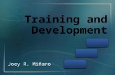 Human Resource Training and Development