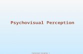 02 psychovisual perception DIP