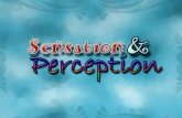 Psych 200   Sensation and Perception