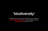 The coexistence of biodiversity and built environments of the Sydney Basin Bioregion | Biocity Studio