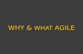 Why & what agile