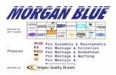 Morgan blue 2011_small