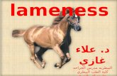 lameness (equine hoof affections) Dr. Alaa Ghazy