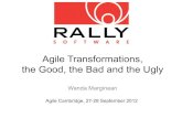 Agile Transformations,  the Good, the Bad and the Ugly