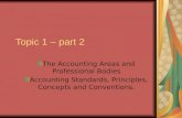 Topic 1 – Part 2 The Accounting Areas And Professional Bodies