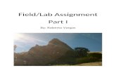 Field/Lab Assignment Part I