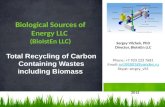 Total Recycling of Carbon Containing Wastes including Biomass