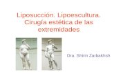 Liposucción. Lipoescultura. Cirugía estética de las extremidades Dra. Shirin Zarbakhsh.