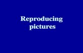Reproducing pictures
