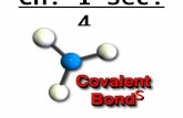 8th Grade Ch 1 Sec  4 Covalent Bonds