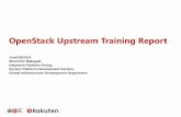 OpenStack Upstream Training Report