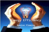 Energy efficiency naoise f