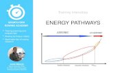 Energy pathways - intensity zones