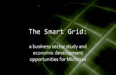 Smart Grid Sector Study