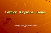 Le Bron Raymone James