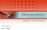 Dracunculiasis (Dracunculus medinensis) (guinea worm disease)