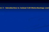 Lecture 3   animal cell types