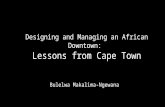 Cape Town Partnership presentation to the International Downtown Association in 2013