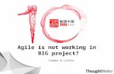 Agile is not working in big project?