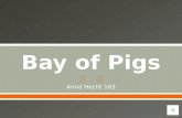 Bay of pigs presentation