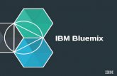 IBM Bluemix Overview